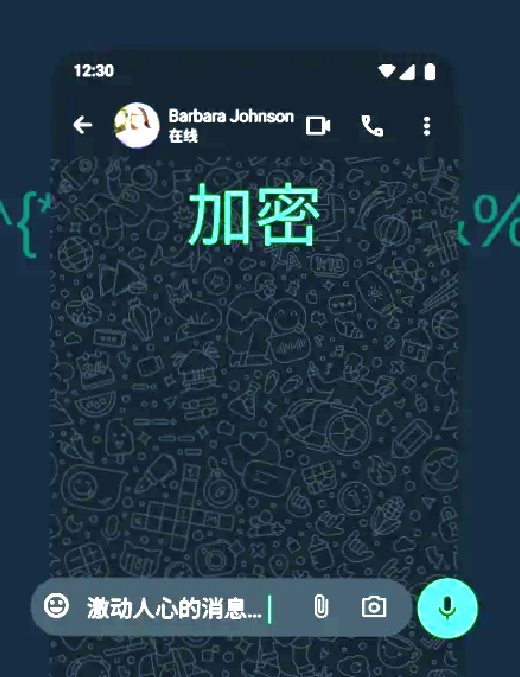 WhatsApp Icon